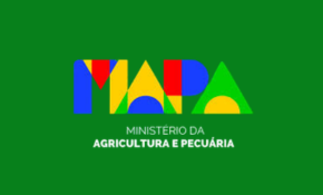 MAPA DF